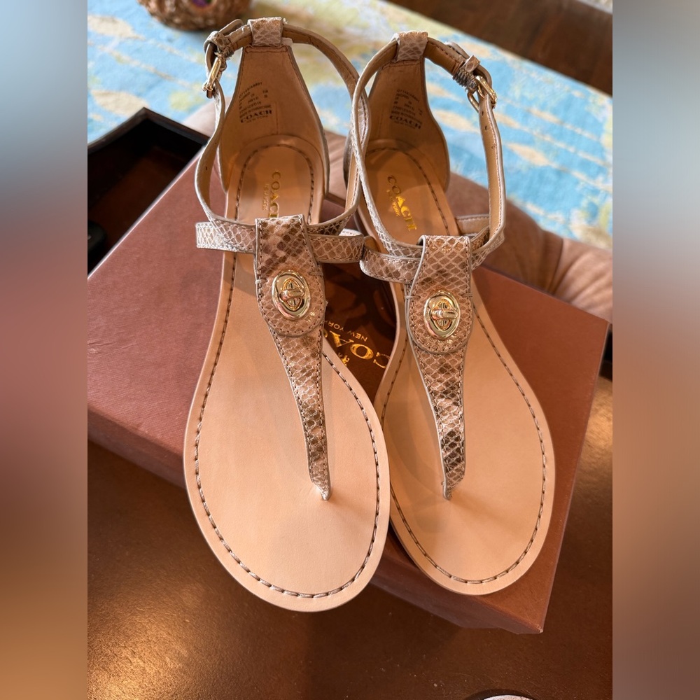 Coach Ingrid Snakeskin Print Wedge Sandals New in Box